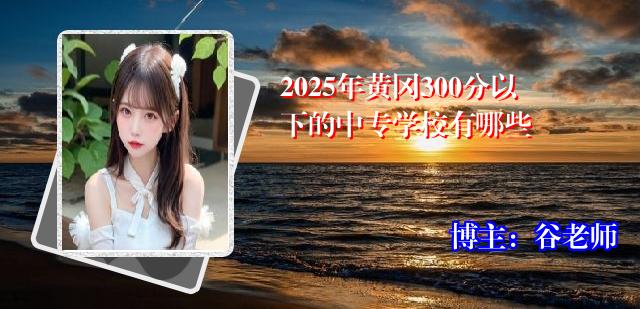 2025年黄冈300分以下的中专学校有哪些