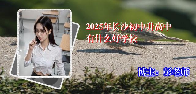 2025年长沙初中升高中有什么好学校