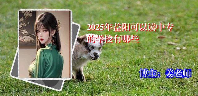 2025年益阳可以读中专的学校有哪些