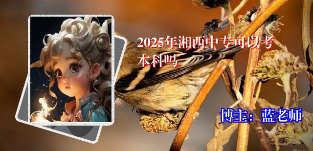 2025年湘西中专可以考本科吗