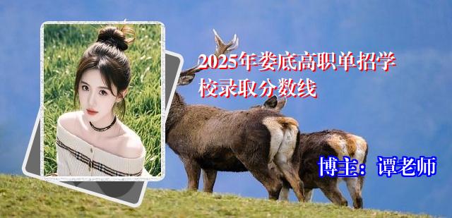 2025年娄底高职单招学校录取分数线