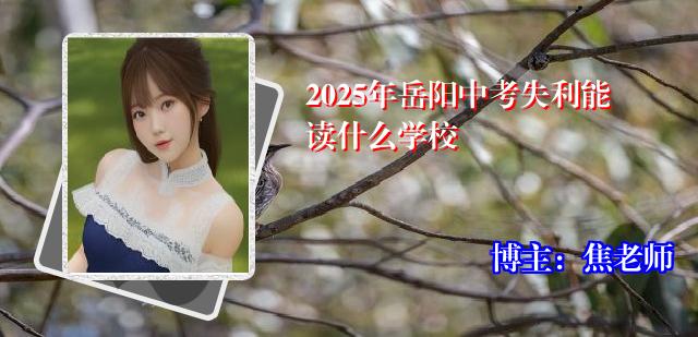 2025年岳阳中考失利能读什么学校