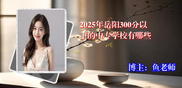 2025年岳阳300分以下的中专学校有哪些