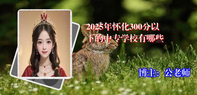 2025年怀化300分以下的中专学校有哪些
