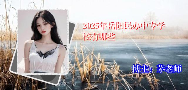 2025年岳阳民办中专学校有哪些