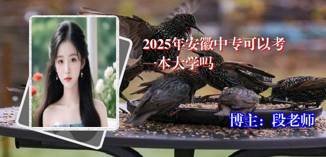 2025年安徽中专可以考一本大学吗