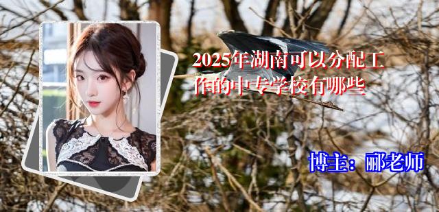 2025年湖南可以分配工作的中专学校有哪些