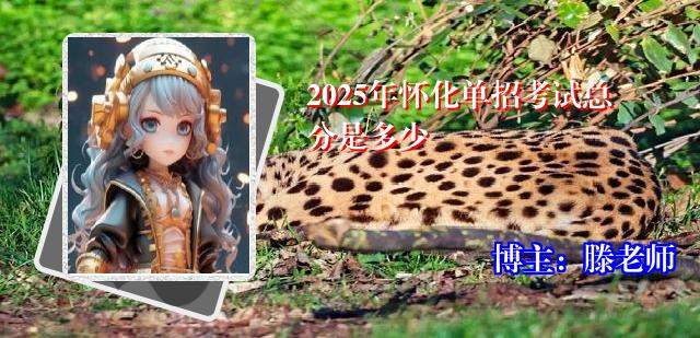 2025年怀化单招考试总分是多少