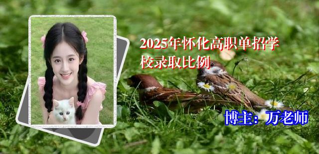 2025年怀化高职单招学校录取比例