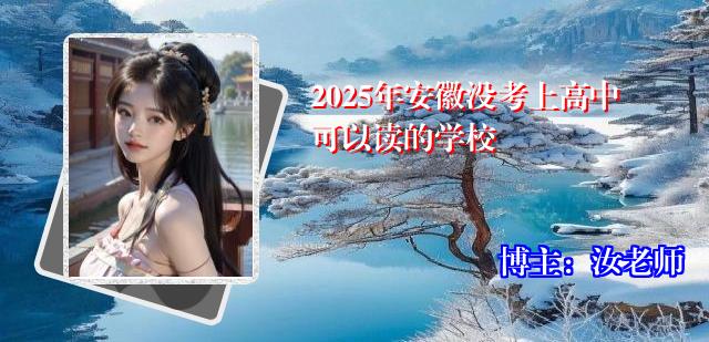 2025年安徽没考上高中可以读的学校