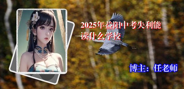 2025年益阳中考失利能读什么学校