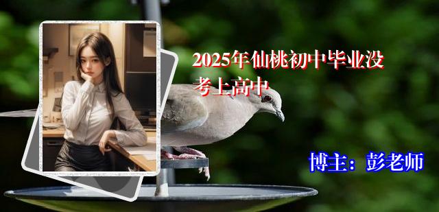 2025年仙桃初中毕业没考上高中