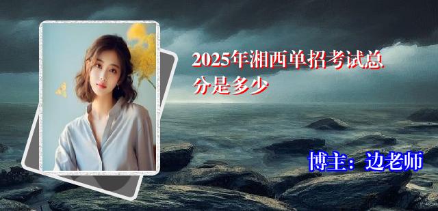 2025年湘西单招考试总分是多少