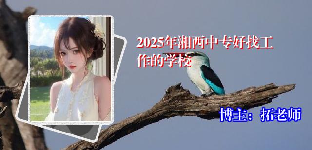 2025年湘西中专好找工作的学校