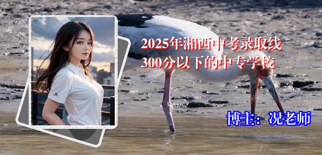 2025年湘西中考录取线300分以下的中专学校
