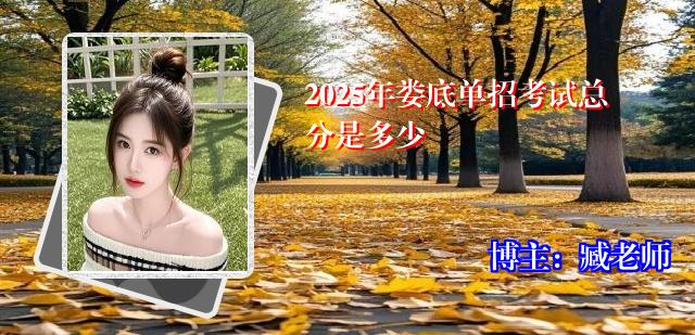 2025年娄底单招考试总分是多少