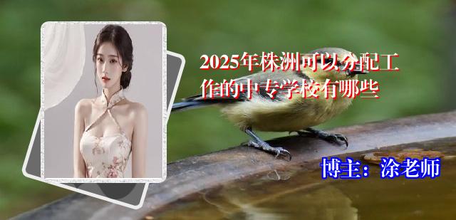 2025年株洲可以分配工作的中专学校有哪些