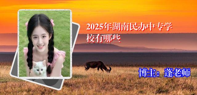2025年湖南民办中专学校有哪些