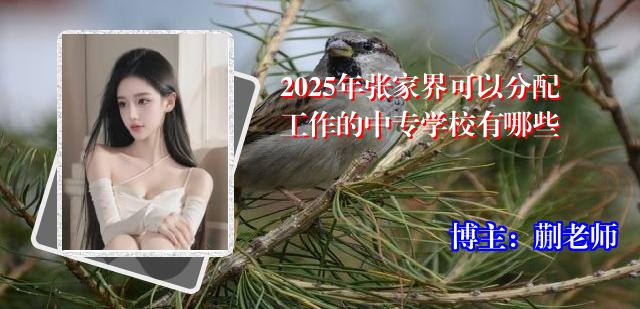 2025年张家界可以分配工作的中专学校有哪些