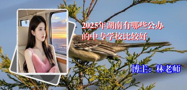 2025年湖南有哪些公办的中专学校比较好