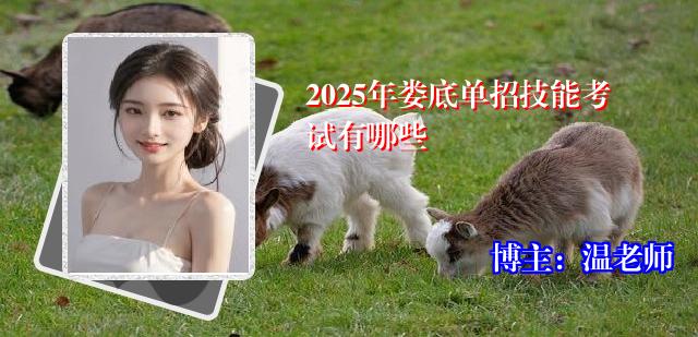 2025年娄底单招技能考试有哪些