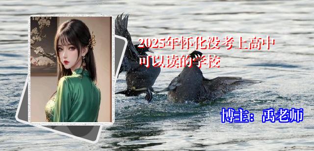 2025年怀化没考上高中可以读的学校