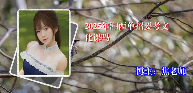 2025年湘西单招要考文化课吗