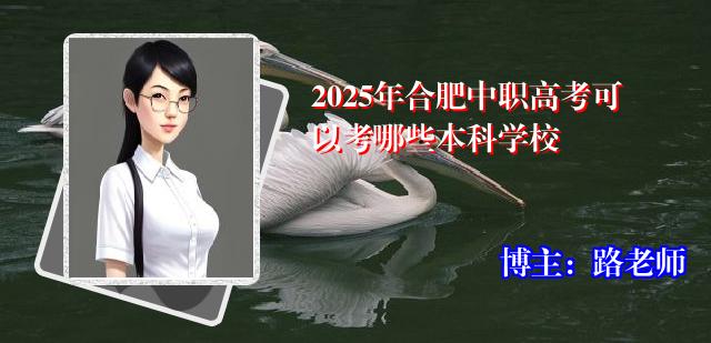 2025年合肥中职高考可以考哪些本科学校