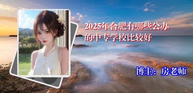2025年合肥有哪些公办的中专学校比较好