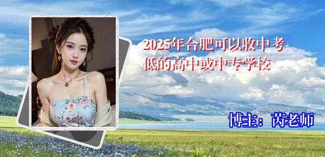 2025年合肥可以收中考低的高中或中专学校