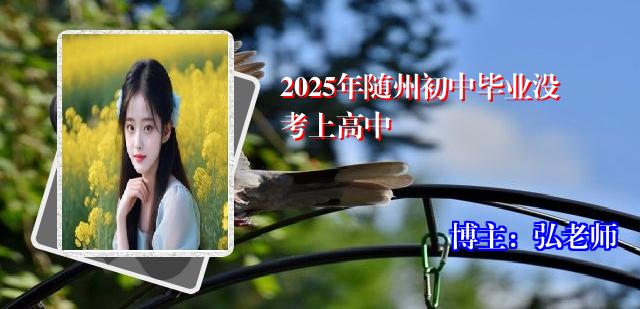 2025年随州初中毕业没考上高中