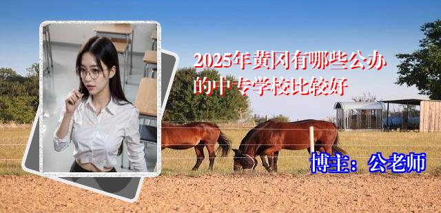 2025年黄冈有哪些公办的中专学校比较好