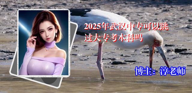 2025年武汉中专可以跳过大专考本科吗