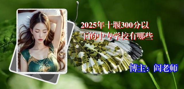 2025年十堰300分以下的中专学校有哪些