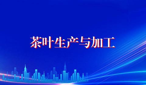 茶叶生产与加工