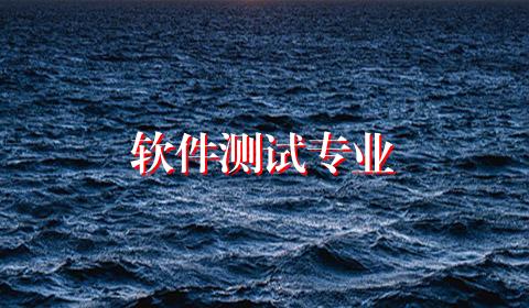 软件测试专业