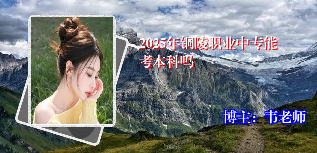 2025年铜陵职业中专能考本科吗