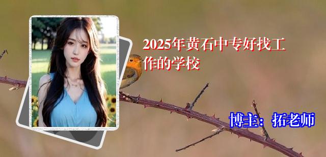 2025年黄石中专好找工作的学校