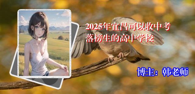 2025年宜昌可以收中考落榜生的高中学校