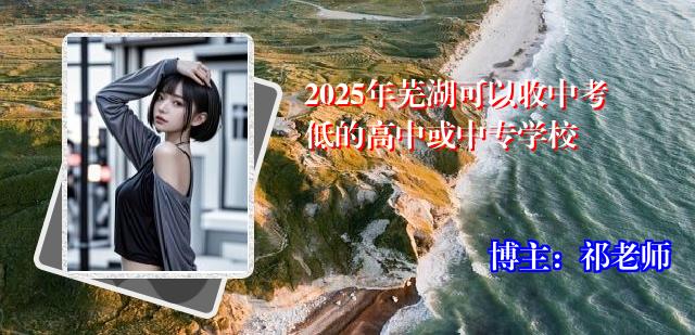 2025年芜湖可以收中考低的高中或中专学校
