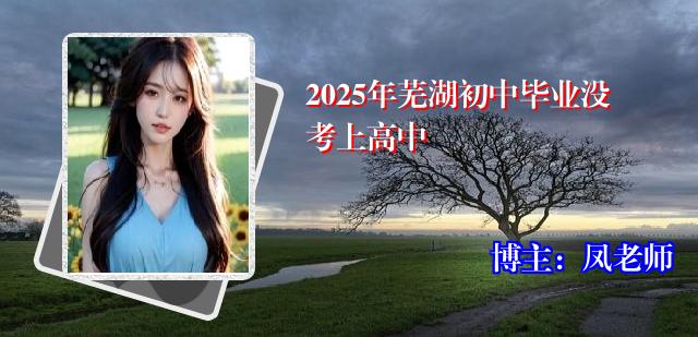 2025年芜湖初中毕业没考上高中