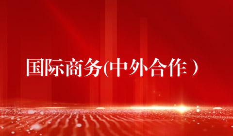 国际商务(中外合作）