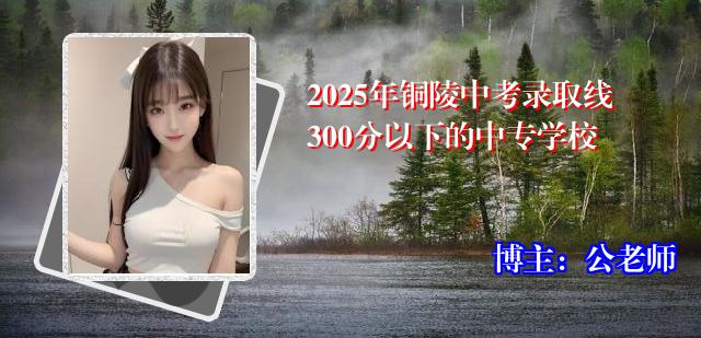 2025年铜陵中考录取线300分以下的中专学校