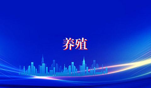 养殖