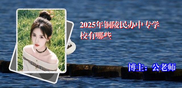2025年铜陵民办中专学校有哪些