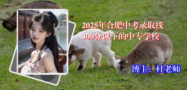 2025年合肥中考录取线300分以下的中专学校