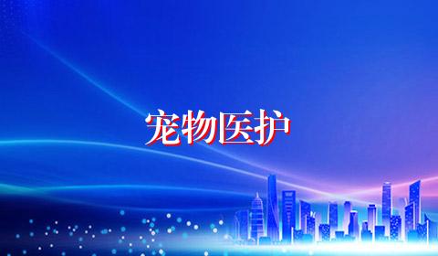 宠物医护