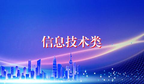 信息技术类