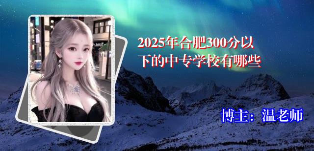 2025年合肥300分以下的中专学校有哪些