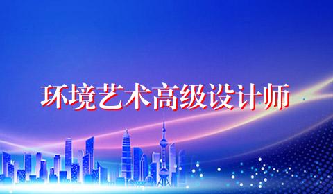 环境艺术高级设计师